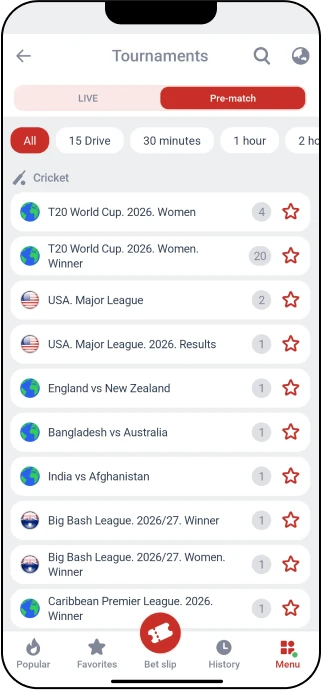 Cricket Betting via the MegaPari App in India - MegaPari India