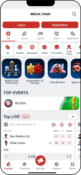 MegaPari Mobile App Overview - MegaPari India