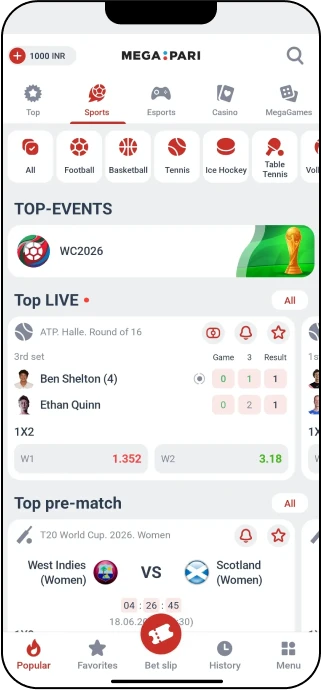 Sports Betting on the MegaPari App - MegaPari India